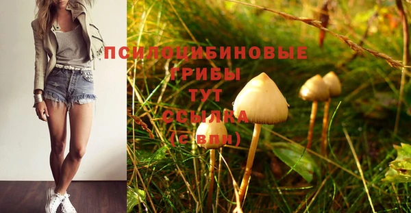 прущие грибы Алексеевка