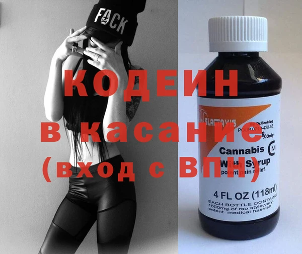 хмурый Алексин