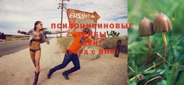 хмурый Алексин