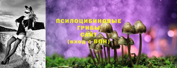 амф Осинники