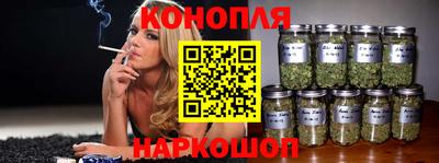 a pvp Кингисепп
