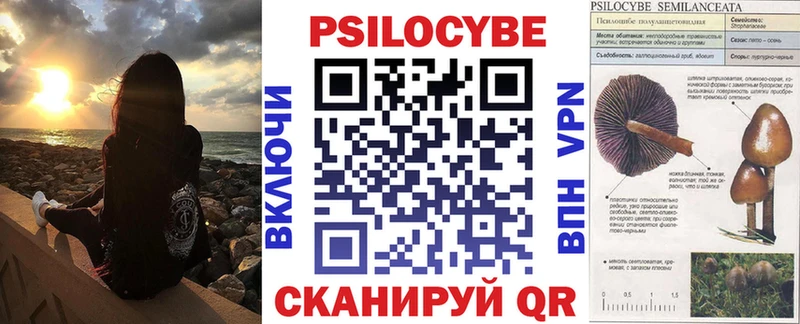 где продают Котельники Галлюциногенные грибы Psilocybe