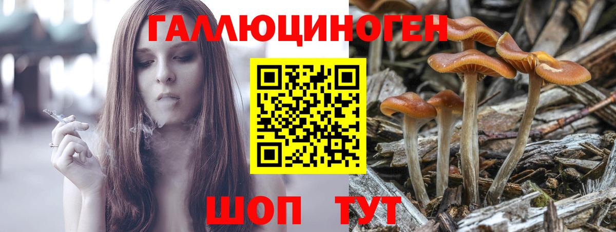 Котельники  Галлюциногенные грибы Psilocybe  Вход с VPN 